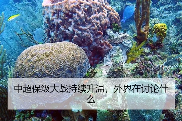 中超保级大战持续升温，外界在讨论什么